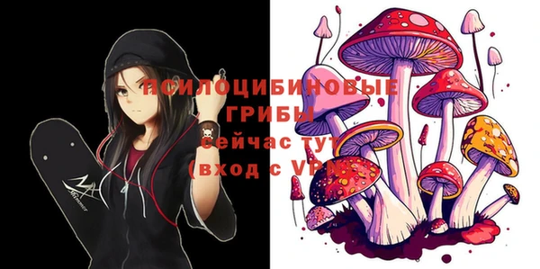 гашик Абаза