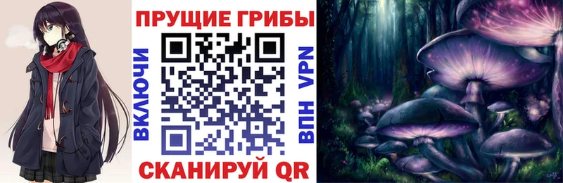 как найти   Севастополь  Галлюциногенные грибы Cubensis 