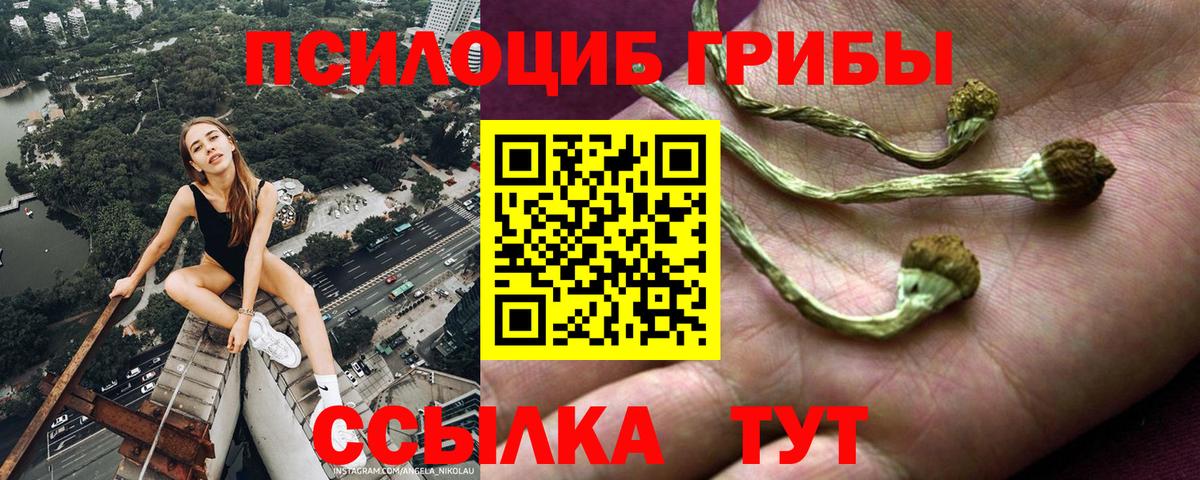 Галлюциногенные грибы Psilocybine cubensis  Галлюциногенные грибы мицелий  Севастополь  Вход с VPN 